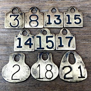 Choice of Brass Cattle Tag Number 3, 8, 13, 14, 15, 17, 2, 18, 21 Vintage Antique Cow Tag Keychain Rustic Fob Wedding Table Numbers D26