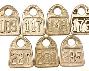 Cattle Tag Number 109, 117, 148, 173, 227, 230, 235 Vintage ID Tag Antique Cow Tag Keychain Identification Tag Rustic Key Chain Fob E