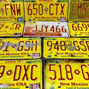 Choice of License Plate New Mexico License Plates Number Tag Metal for Crafts or Jewelry Land of Enchantment