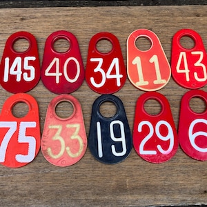 Choice of Cattle Tag Number 145, 40, 34, 11, 43, 75, 33, 19, 29, 6 Plastic Cattle Tag Large Vintage Livestock Bull Antique Tag Keychain  Fob