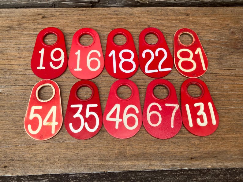 Choice of Cattle Tag 19, 16, 18, 22, 81, 54, 35, 46, 67, 131 Plastic ...