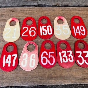 May include: A collection of ten red and cream-colored plastic tags with numbers printed in white. The tags are oval-shaped with a hole at the top, arranged on a wooden surface. Numbers include 21, 26, 150, 35, 149, 147, 36, 65, 133, and 33.