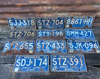 Choice of Michigan License Plate Vintage Metal 1973 1974 1975 1970s Car Truck Auto Old License Plate Tag Rusty Aged Blue White Rusted Old R