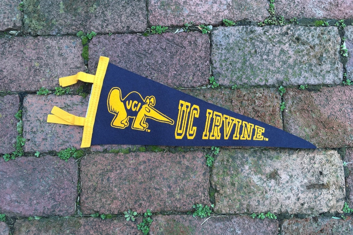 Vintage College Pennant University California Irvine 6x15 Inch Etsy