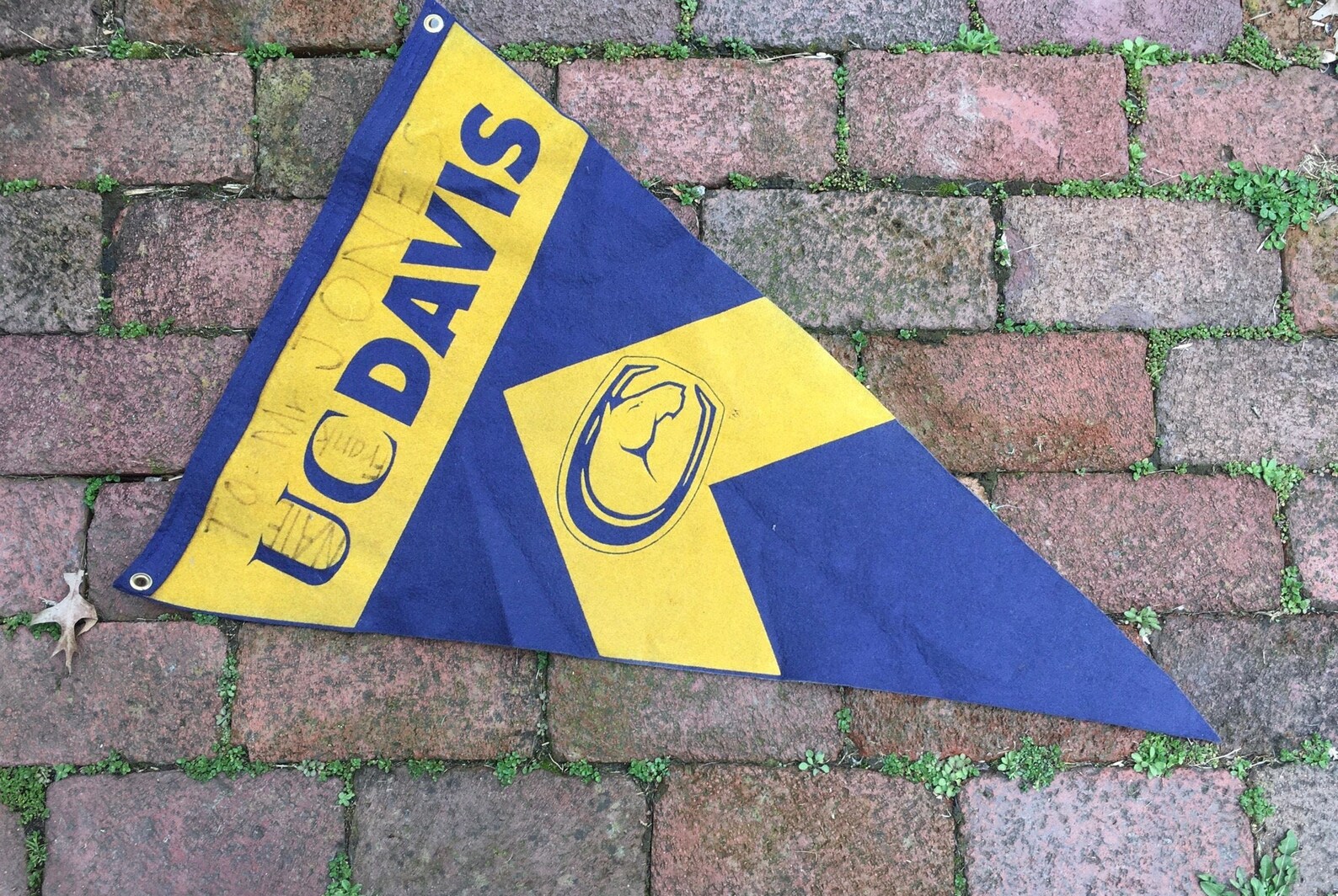 Vintage College Pennant University California Davis Campus Etsy vintage-college-pennant-university-california-davis-campus-etsy