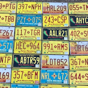 Choice of New Mexico License Plate Original S