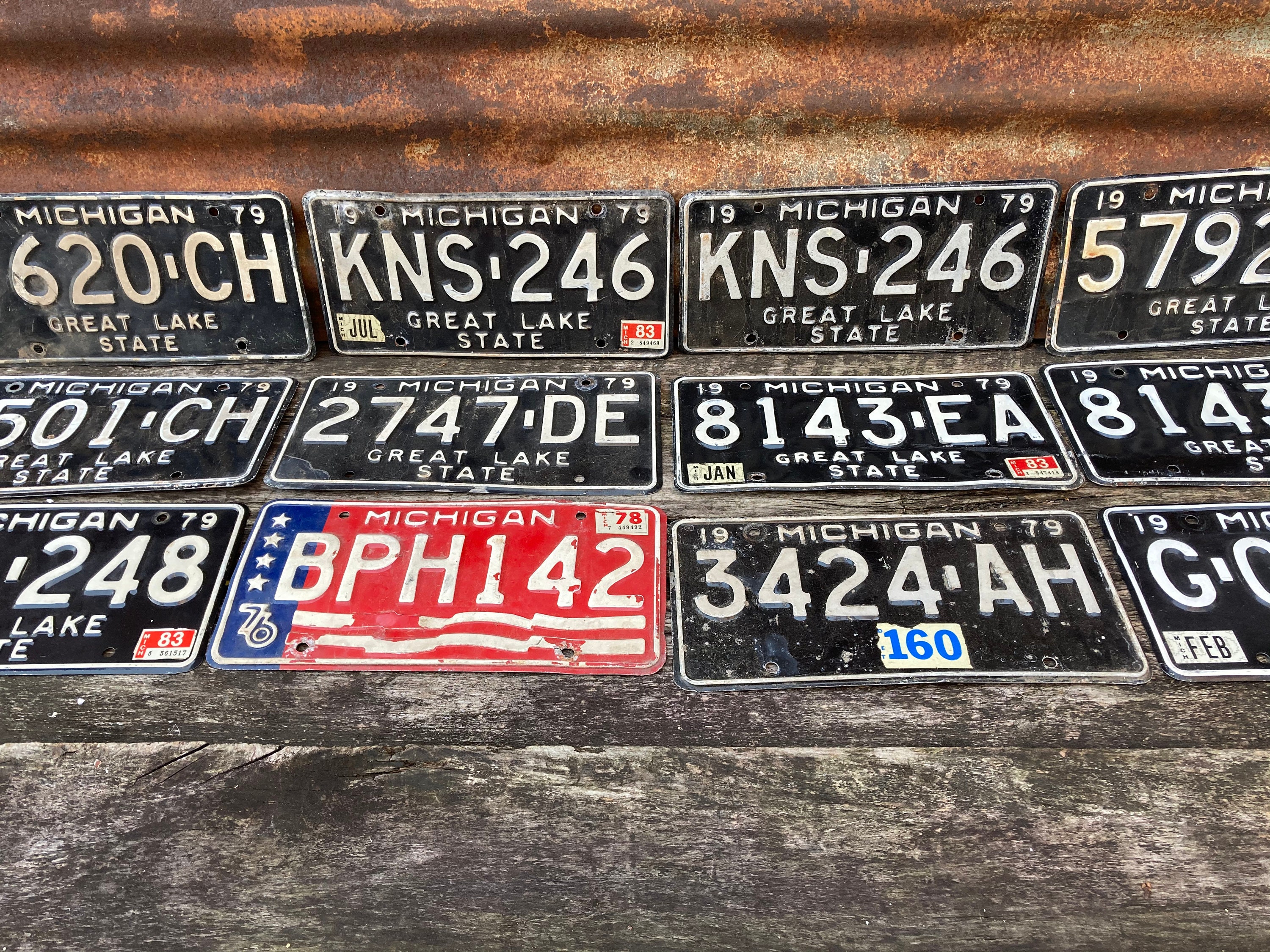 Choice of Michigan License Plate 1976, 1978, 1979, 1981, 1983