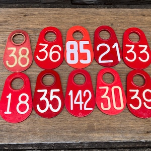 Choice of Cattle Tag Number 38, 36, 85, 21, 33, 18, 35, 142, 30, 39 Plastic Cattle Tag Large Vintage Livestock Bull Antique Tag Keychain Fob
