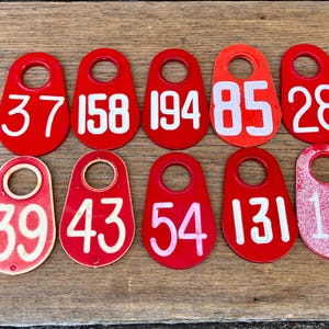 Choice of Cattle Tag Number 37, 158, 194, 85, 28, 39, 43, 54, 131, 14 Plastic Cattle Tag Vintage Livestock Bull Tag Keychain  Fob