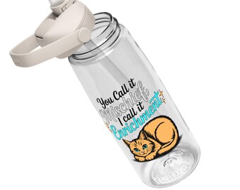 You Call it Mischief, I Call it Enrichment Orange Cat Camelbak Flip Straw Water Bottle