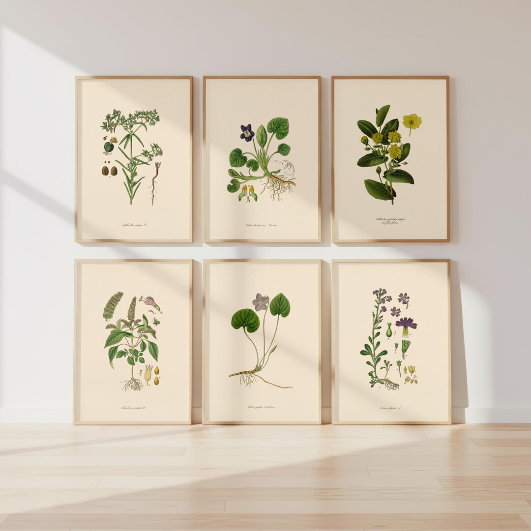 Vintage Botanical Gallery Wall Set of 6, Botanical Prints, Floral Print ...