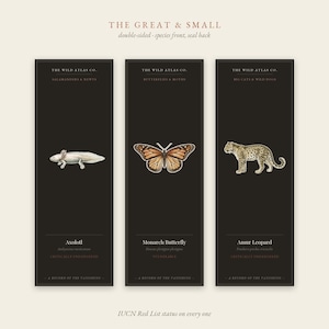 Könnte beinhalten: Drei vertikale schwarze Lesezeichen von The Wild Atlas Co. mit Illustrationen eines Axolotls, eines Monarchfalters und eines Amur-Leoparden. Jedes Lesezeichen zeigt den Artnamen, den wissenschaftlichen Namen und den IUCN-Status in weißer Schrift.