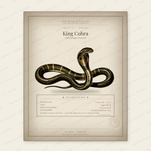 Affiche murale imprimable Cobra royal, Python, Serpent, Téléchargement instantané, Vipère, Impression numérique, Décoration de chambre d'enfant sur le thème de la forêt, Décoration murale pour enfants