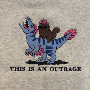 May include: A light grey sweatshirt featuring an embroidered graphic of a brown cat wearing a pink crown and black sunglasses riding a blue dinosaur with pink accents. Below the graphic, the text reads THIS IS AN OUTRAGE in black letters.