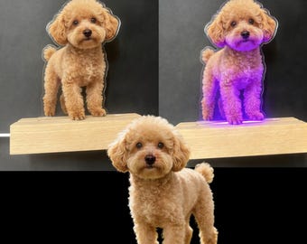 Custom LED Acrylic Pet Gift Pet Keepsake with Color-Changing Function Glowing Dog/Cat/Bird/Rabbit Memorial Bedside Night Light