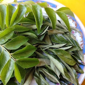 Pode incluir: Close-up de folhas de caril verdes frescas, um ingrediente essencial da culinária do sul da Ásia, dispostas num prato decorativo. As folhas são de várias tonalidades de verde, algumas frescas e vibrantes, outras a secar. O prato tem um padrão floral azul e branco.