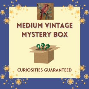 Medium Vintage Mystery Box – Curated Retro Surprises & Unique Antique Finds