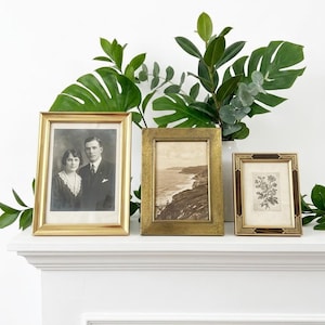 May include: Three framed vintage photographs with gold and brown frames are displayed on a white mantel. The frames hold a black and white portrait, a coastal landscape, and a botanical print. Green foliage accents the display.