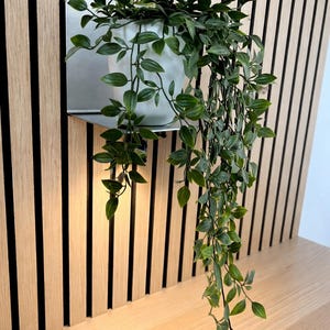 Puede incluir: Una maceta de pared con una planta verde colgante. La maceta es un recipiente rectangular blanco sostenido por un soporte de metal plateado. El fondo presenta listones de madera verticales con detalles en negro, creando una estética moderna.