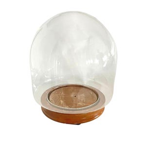 May include: A clear glass dome display case featuring a smooth, rounded top and a circular wooden base. The base has a natural brown wood grain finish with a slightly raised edge, providing a stable foundation for the transparent glass cover.