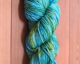 Hand-Dyed Superwash Merino Wool Yarn: Lake Padden Worsted Weight