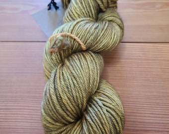 Hand-Dyed Superwash Merino Wool Yarn: Dune Worsted Weight