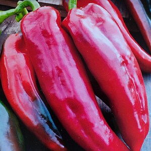 Könnte beinhalten: Nahaufnahme von mehreren leuchtend roten Paprika. Die Paprika sind länglich, mit glänzender Oberfläche und eng aneinander angeordnet. Grüne Stiele sind oben zu sehen. Das Bild zeigt frische Produkte.