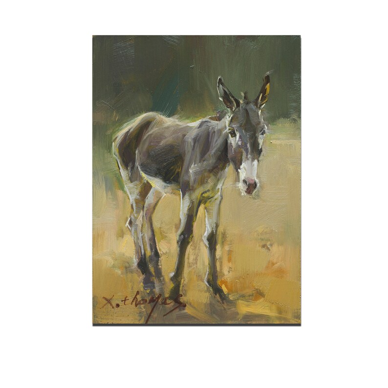Donkey Original oil Painting 5x7 Etsy