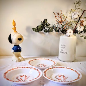 Assiettes creuses Arcopal vintage