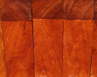 Exotic Hardwood Pen Blanks –  Eucalyptus Robusta