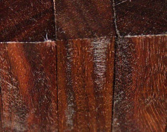 Exotic Hardwood Pen Blanks –  Paela  Wood