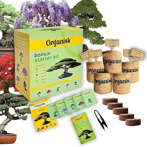 Peut inclure: Un kit de démarrage de bonsaï avec une boîte verte et jaune étiquetée "Organisk". Le kit comprend des graines, des pots en toile de jute et une paire de ciseaux. La boîte indique "bonsaï starter kit".