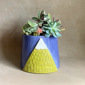 May include: A purple ceramic planter with a mountain design in yellow and white, filled with succulents.
