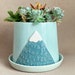 see more listings in the planters & cache pots section