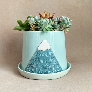 May include: A light blue ceramic planter with a mountain design and a white snow cap. The planter is filled with succulents.