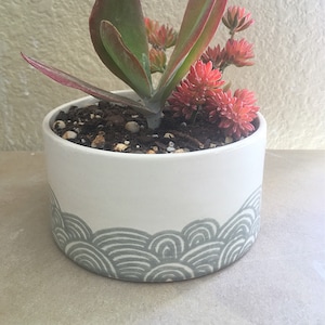 May include: A succulent plant with red and green leaves in a white ceramic pot with a grey wave pattern.