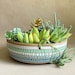 see more listings in the planters & cache pots section