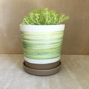 Op de afbeelding: Een witte keramische pot met groene en gele strepen, met een kleine groene plant erin. De pot heeft een bruine schotel.