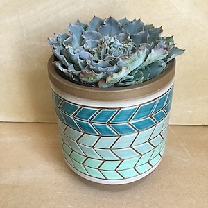 May include: A succulent plant with blue-green leaves in a ceramic pot with a blue and green geometric pattern.