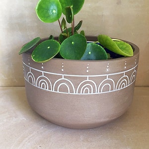 May include: A brown ceramic planter with a white geometric design, featuring a small green plant with round leaves.