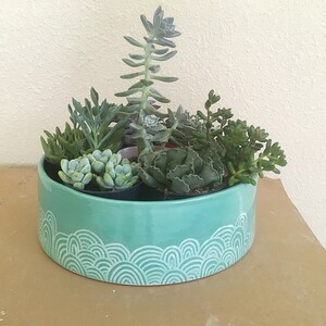 May include: A teal ceramic planter with a wavy pattern holds a variety of succulents, including a tall, upright succulent with long, thin leaves.