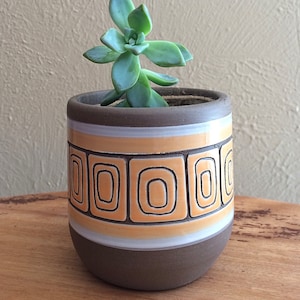 May include: A small succulent plant in a brown ceramic pot with a white and orange geometric pattern.