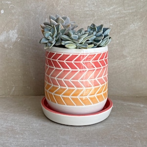 Puede incluir: Una maceta de cerámica con un patrón geométrico en tonos naranja, rosa y blanco. La maceta está llena de una planta suculenta.