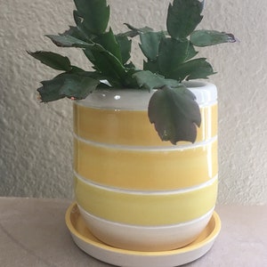 Handmade to order ceramic planter