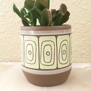 May include: A brown ceramic planter with a geometric pattern in white and yellow. The planter is filled with a green succulent plant.