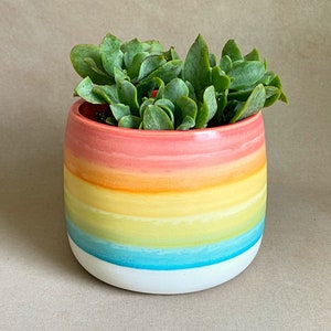 Handmade to order ceramic planter image 5