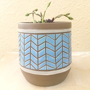 Puede incluir: Una maceta de cerámica marrón con un patrón de chevron azul y blanco. La maceta está llena de una pequeña planta suculenta.