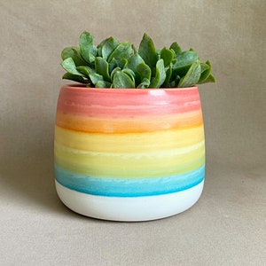 Handmade to order ceramic planter image 1