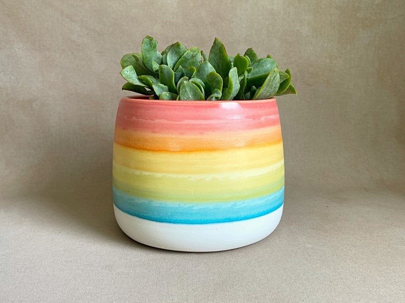 Handmade to order ceramic planter image 1