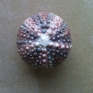Urchin furniture knobs, cabinet hardware, drawer pulls